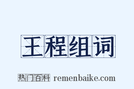 王程组词是什么意思的图片